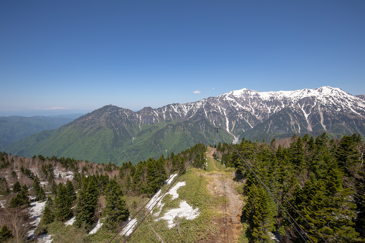 IMG_5970.jpg