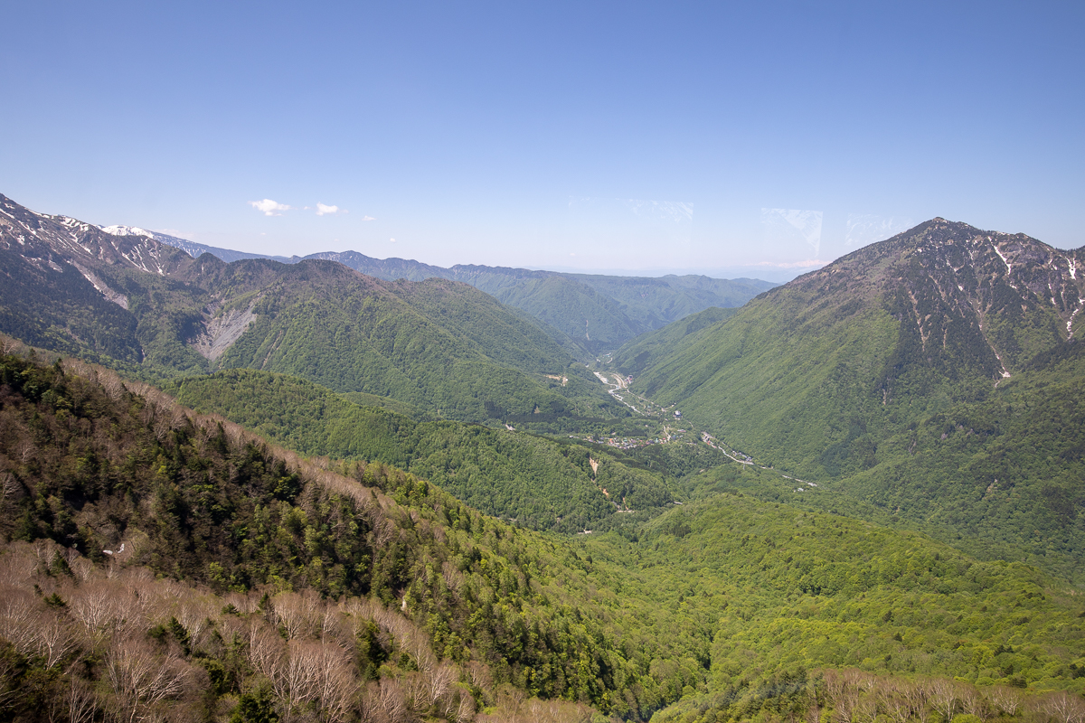 IMG_5976.jpg
