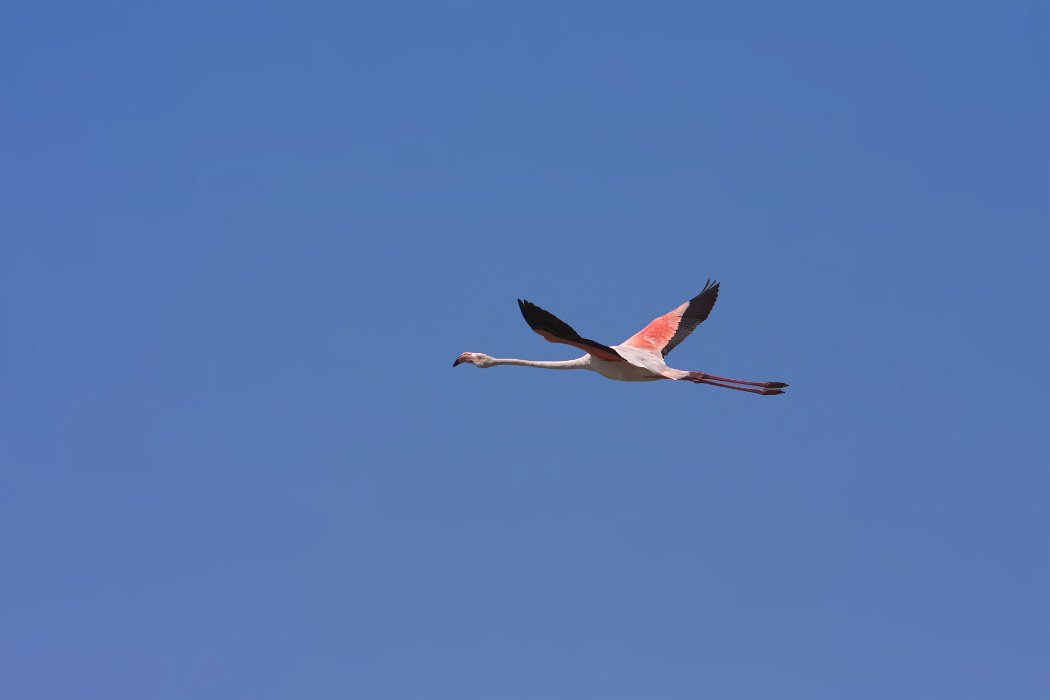 IMG_9552PS.jpg