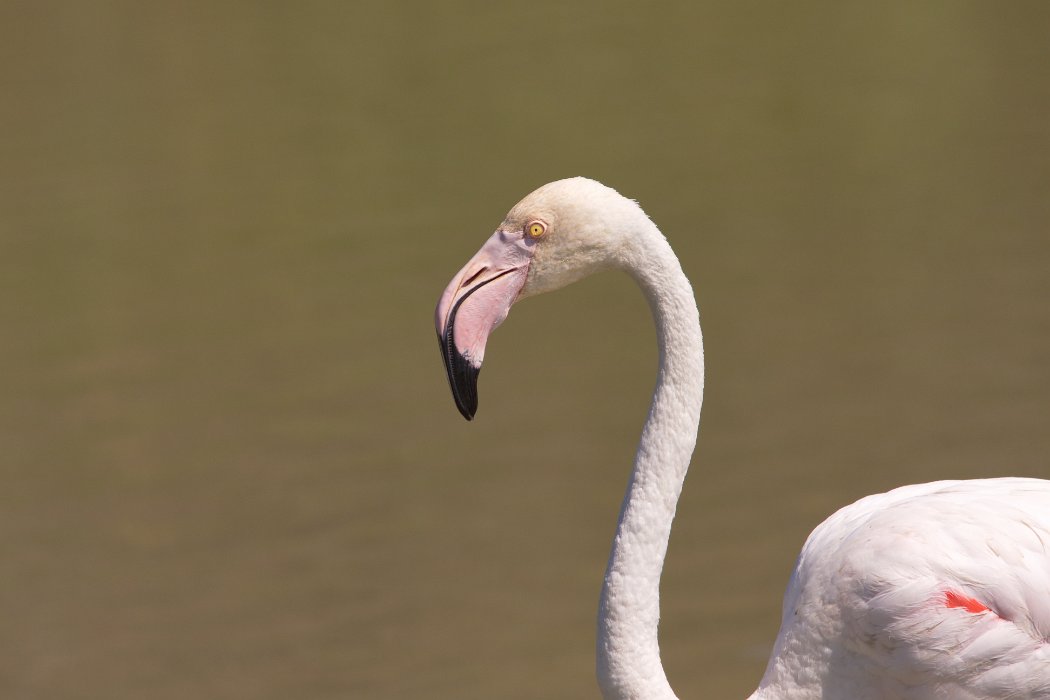 IMG_9577PS.jpg