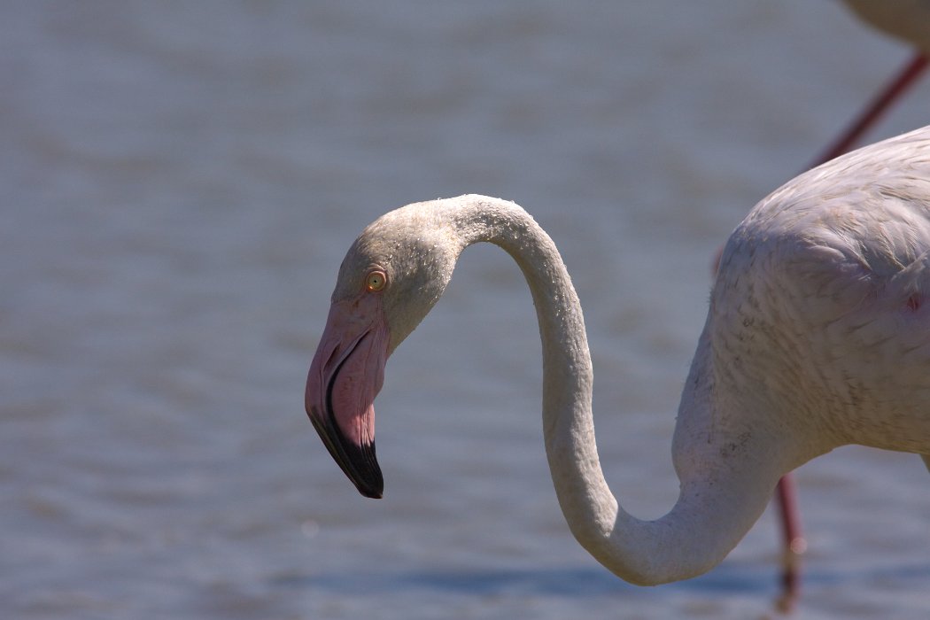 IMG_9620PS.jpg