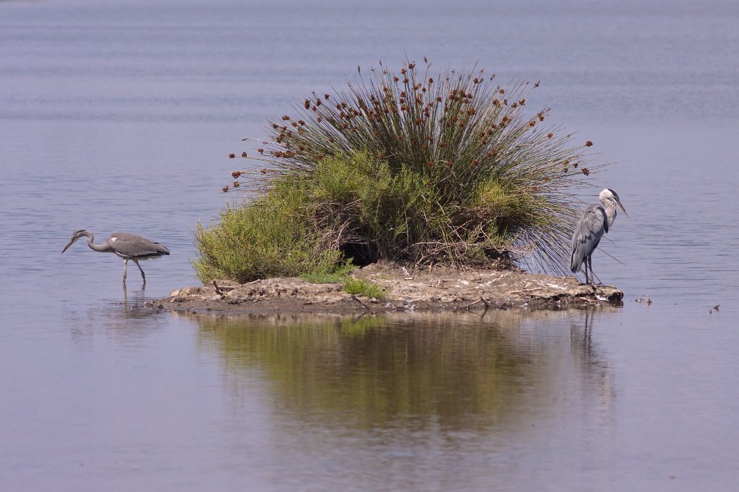 IMG_9659PS.jpg