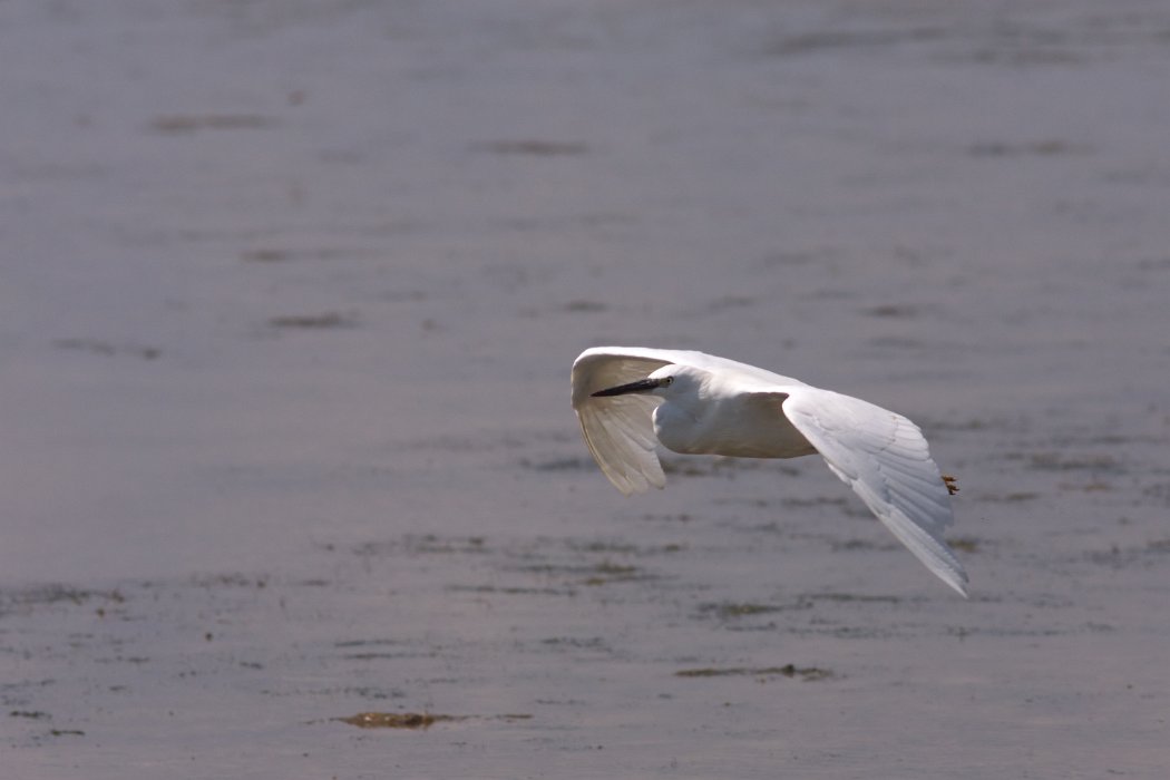 IMG_9671PS.jpg