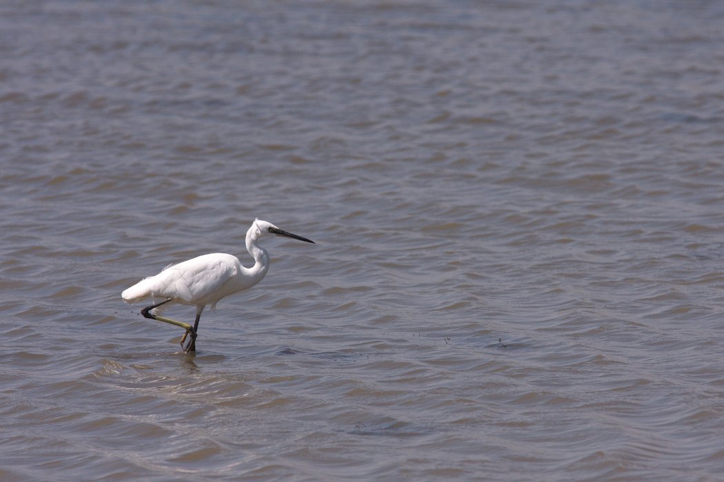 IMG_9697PS.jpg