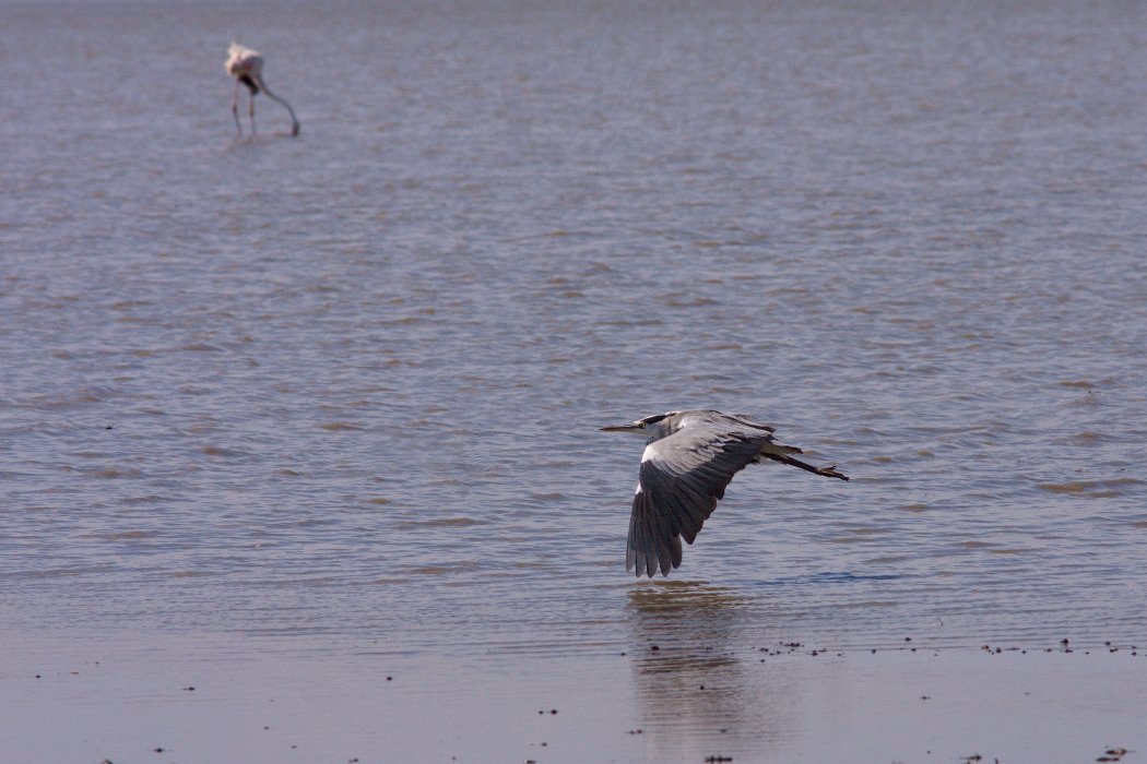 IMG_9702PS.jpg