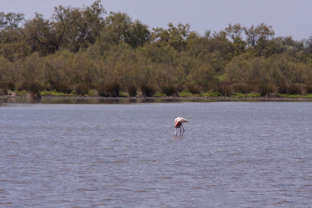 IMG_9707PS.jpg