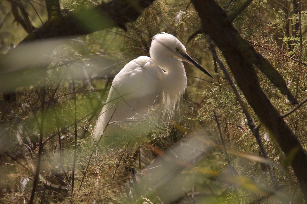 IMG_9745PS.jpg