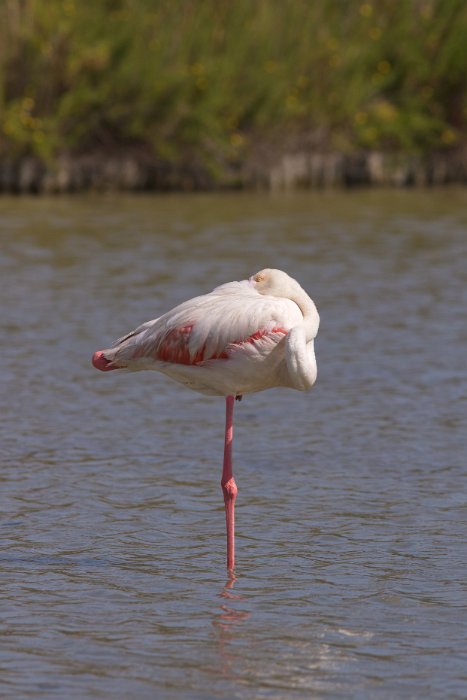 IMG_9757PS.jpg