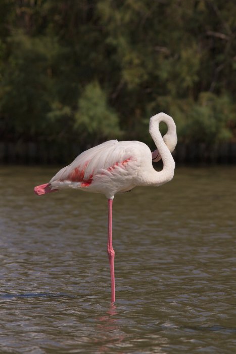 IMG_9786PS.jpg